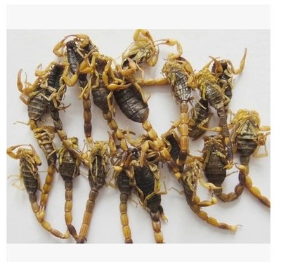 中药材全蝎 蝎子 全虫 清水干货100克121元 水蛭 蜈蚣 地龙在类目 传统滋补营养品, 其他传统滋补品, 传统滋补品其他中 - 来自Buy2taobao.com提供专业的淘宝代购服务