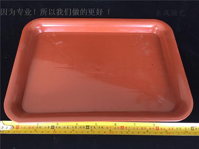 花盆底盘 托盘 塑料托盘 长方形接水托底盘 防止花盆漏水盆景托盘在类目 鲜花速递/花卉仿真/绿植园艺, 园艺用品, 花托/移动托盘中 - 来自Buy2taobao.com提供专业的淘宝代购服务