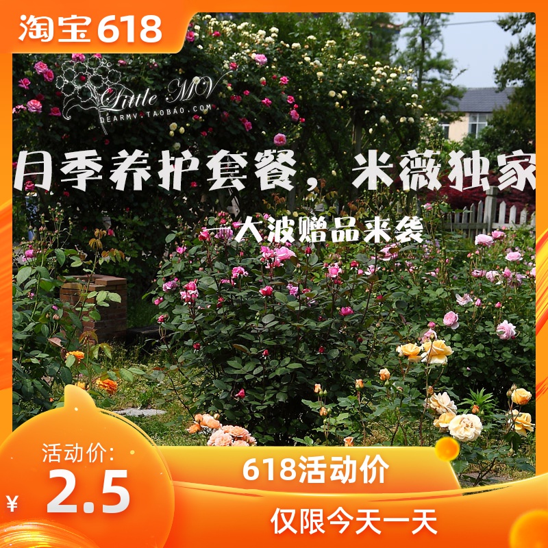 月季新手套餐多菌代森藍粉螨蟲黑斑白粉紅蜘蛛蚜蟲青蟲管理方案在類目 鮮花速遞/花卉仿真/綠植園藝, 園藝用品, 家庭園藝肥料/營養土/營養液中 - 來自Buy2taobao.com提供專業的淘寶代購服務