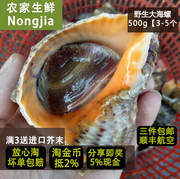 【农家生鲜】鲜活大海螺红螺野生海捕一斤3-5个如需6-8个备注在类目 水产肉类/新鲜蔬果/熟食, 海鲜/水产品/制品, 贝类, 贝类制品中 - 来自Buy2taobao.com提供专业的淘宝代购服务