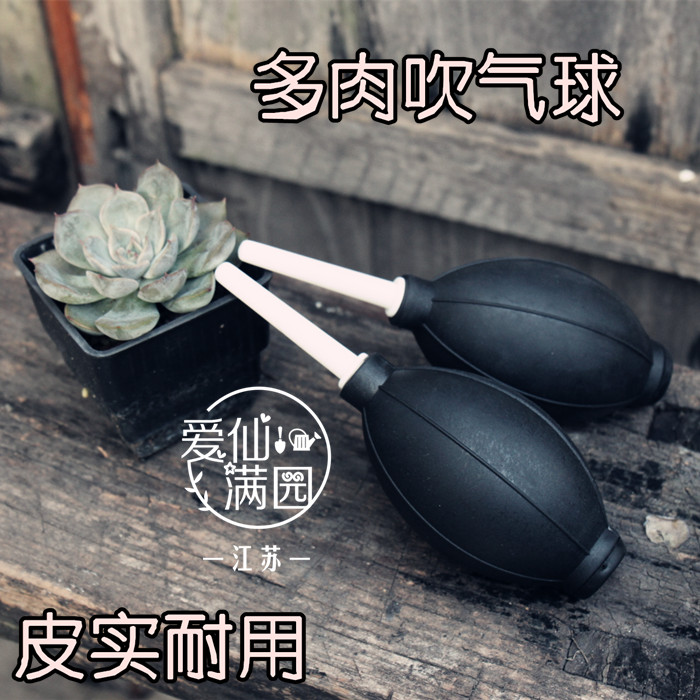 吹气球-多肉植物清洁、吹灰尘水珠用-手感质量都好在类目 鲜花速递/花卉仿真/绿植园艺, 园艺用品, 其它园艺用品中 - 来自Buy2taobao.com提供专业的淘宝代购服务