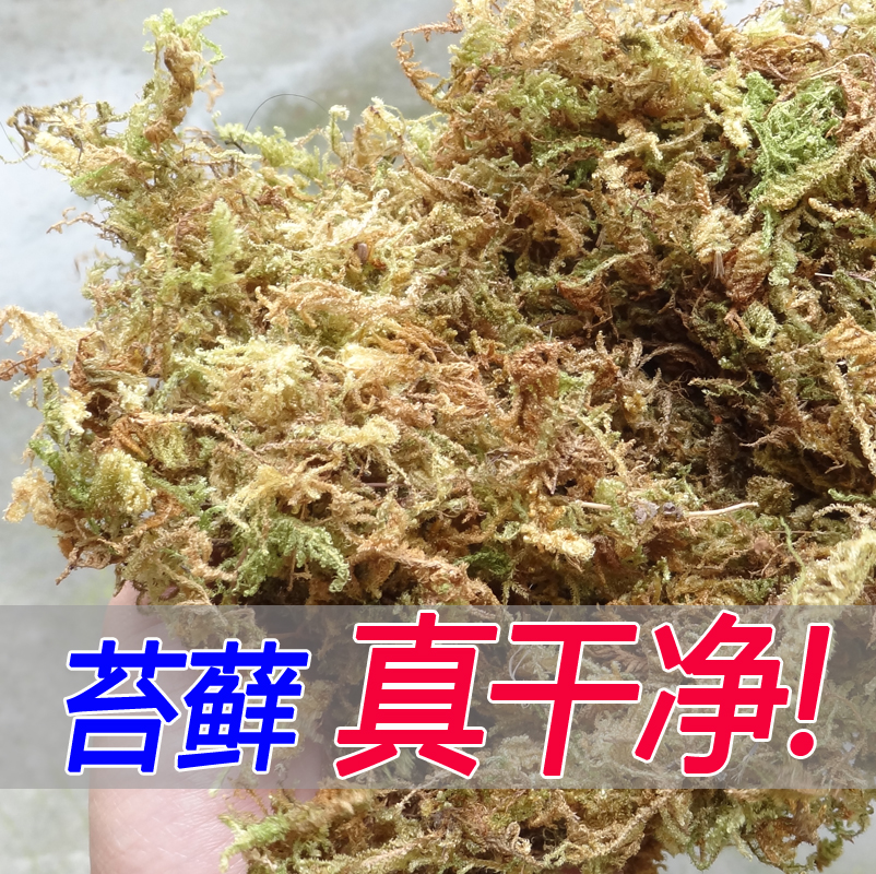爬虫用品天然青苔垫材保湿保温水苔干苔藓干净乌龟冬眠过冬蜗牛|ruв категории животное/Животное питание и принадлежностей, рептилии/насекомых и принадлежностей, рептилии/насекомых приборов - от Buy2taobao.com для оказания профессиональной услуги покупки агента Taobao