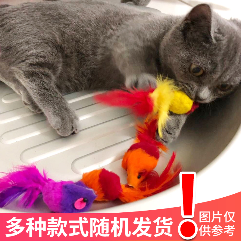 Mouse Toys Rabbit's hair Rabbit Mouse monochrome Feather Probably 2-3 centimeter style randomin the Pet/Pet food and supplies , Cat/Dog Toys , Sound toys category - from Buy2taobao.com to provide professional Taobao agent buy service