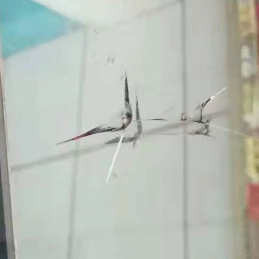 广州汽车玻璃修复上门维修前挡风玻璃裂痕裂纹裂缝飞石专业去痕|msdalam kategori kereta/artikel/Fitting/Refit, entiti Perkhidmatan, Pembaikan dan penyelenggaraan pengesanan pelarasan waktu kerja, Glass Repair - dari Buy2taobao.com untuk memberikan perkhidmatan ejen Taobao profesional membeli