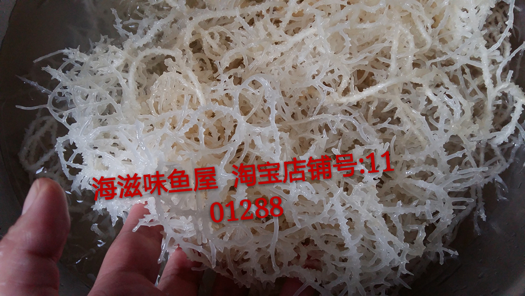 Shandong specialty Gracilaria dried food Carrageenan sea stone Cauliflower Dry cargo Shan Hucao Salad 250gin the Aquatic meat/Fresh fruits and vegetables/Cooked , Seafood/Aquatic/Product , Other category - from Buy2taobao.com to provide professional Taobao agent buy service