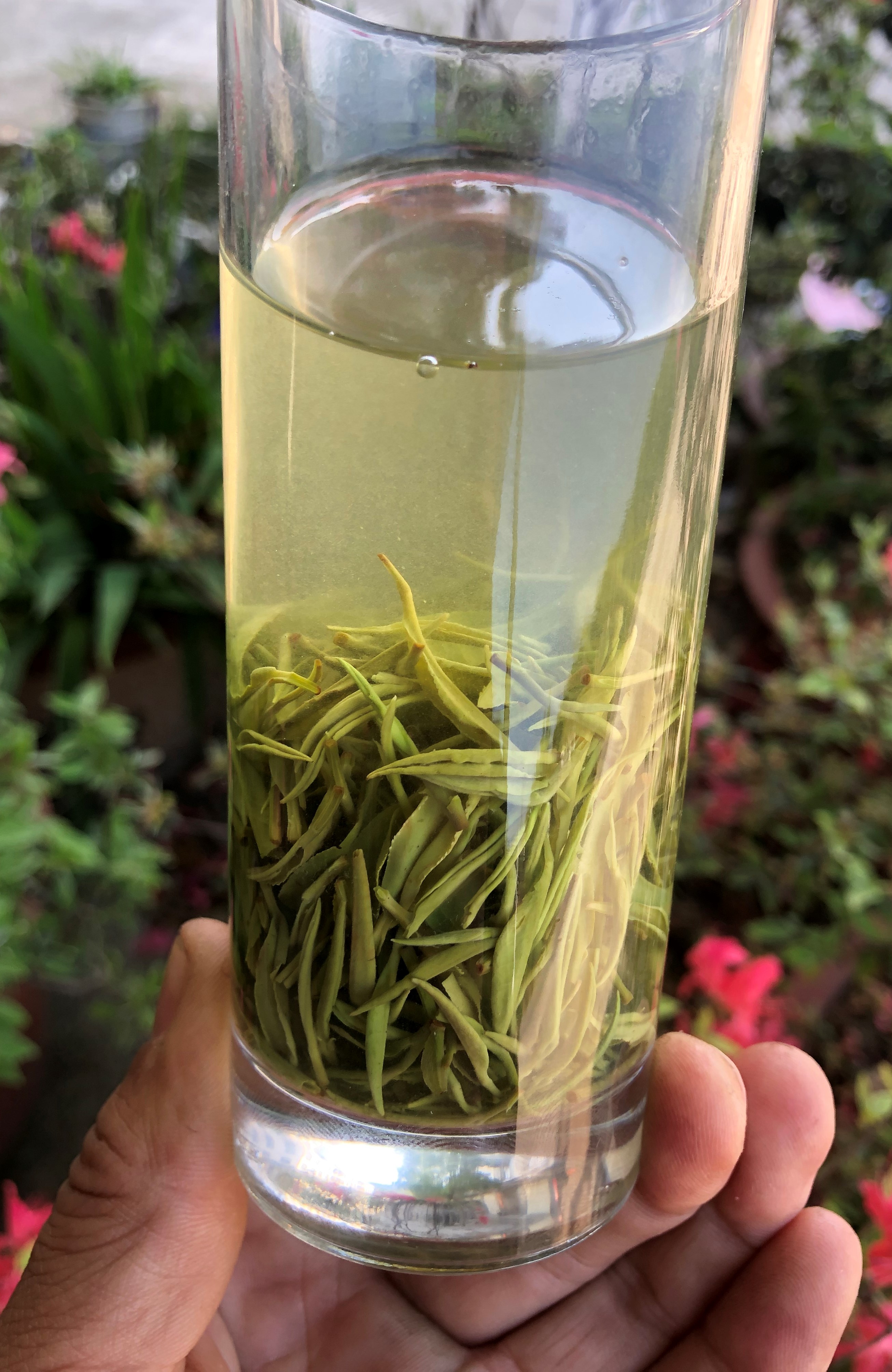 雨前四望山丶小天信阳毛尖丶高山楼头(小芽叶)250g|ruв категории чай, зеленый чай (новый), Синьян - от Buy2taobao.com для оказания профессиональной услуги покупки агента Taobao