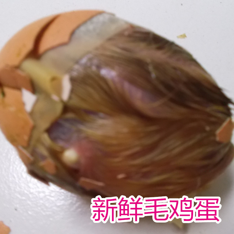 农家新鲜毛鸡蛋 鸡胚蛋 毛蛋 凤凰蛋 旺鸡蛋 活珠子 喜蛋30只|ruв категории водной мясо/свежие фрукты и овощи/еда, яйца/яичные продукты, свежие яйца, яйца - от Buy2taobao.com для оказания профессиональной услуги покупки агента Taobao