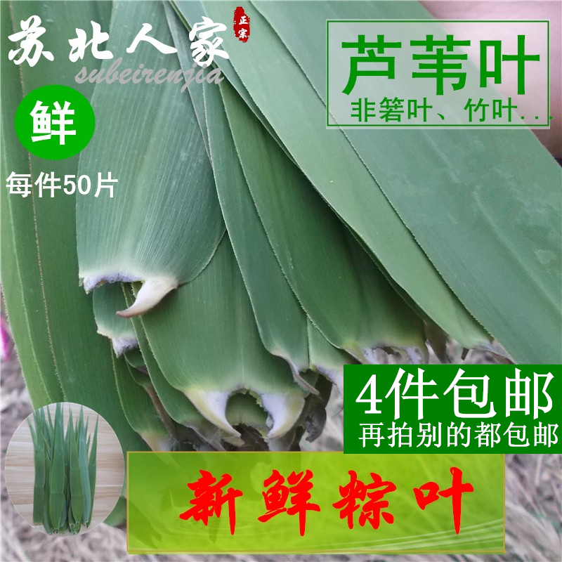 農家野生新鮮粽葉粽子葉蘆葦葉現摘現發端午包粽子柴葉壹件50片在類目 糧油米麪/南北乾貨/調味品, 南北乾貨/肉類乾貨, 乾貨/土特產, 其它中 - 來自Buy2taobao.com提供專業的淘寶代購服務