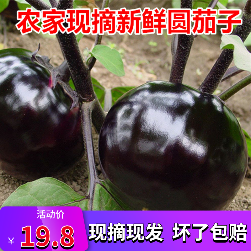 山东现摘时令圆茄子新鲜蔬菜紫茄子嫩茄子农家自种5斤包邮在类目 水产肉类/新鲜蔬果/熟食, 新鲜蔬菜/蔬菜制品, 新鲜蔬菜, 其它中 - 来自Buy2taobao.com提供专业的淘宝代购服务