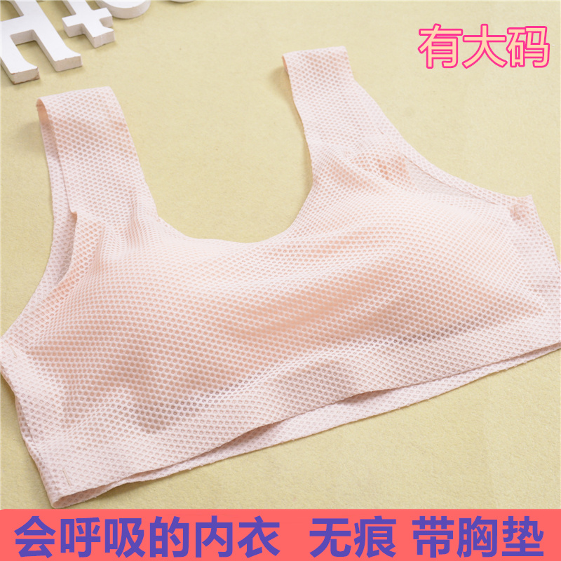 女夏季超大碼無痕防走光抹胸裹胸運動冰絲文胸內衣200斤孕婦胖MM在類目 女裝/女士精品, 大碼女裝中 - 來自Buy2taobao.com提供專業的淘寶代購服務