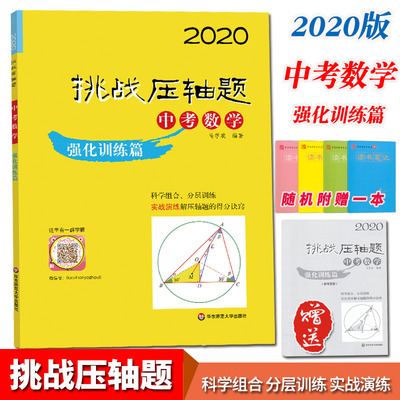 2020中考数学挑战压轴题强化训练篇破解策略全解分析解题精粹思维方法与解题策略初三全程复习专项训练模型解题技巧试题精选全国版