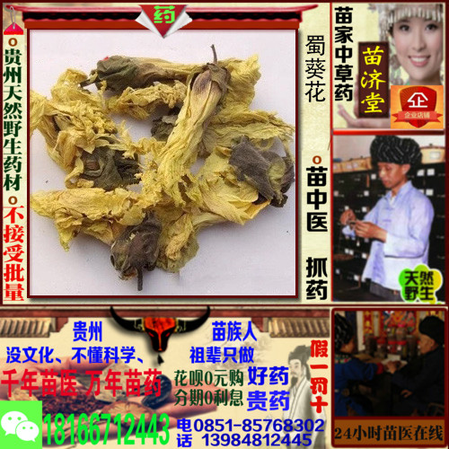 chinese rhubarb Shu sunflower Guizhou Miao Chinese herbal medicine Tonic Chinese herbal medicines chinese medicine Hmong Fill a prescription Dispensein the Traditional nourishing food , Medicinal and Edible Food , Other Medicinal and Edible Food category - from Buy2taobao.com to provide professional Taobao agent buy service