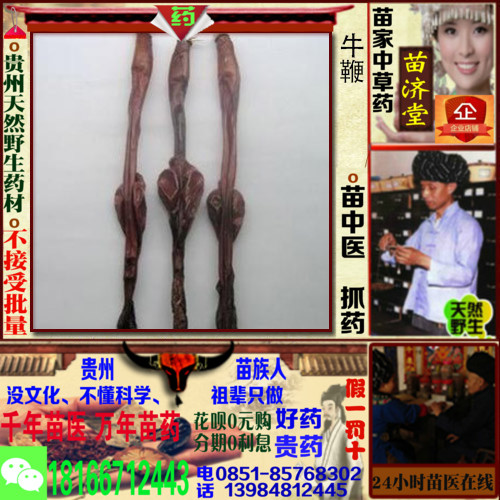 山土牛鞭/条贵州苗济堂苗家中草药滋补中药材中医苗族抓药配药克|msdalam kategori makanan berkhasiat tradisional, Ubat-ubatan dan makanan yang boleh dimakan, Lain Perubatan dan Makanan yang boleh dimakan - dari Buy2taobao.com untuk memberikan perkhidmatan ejen Taobao profesional membeli
