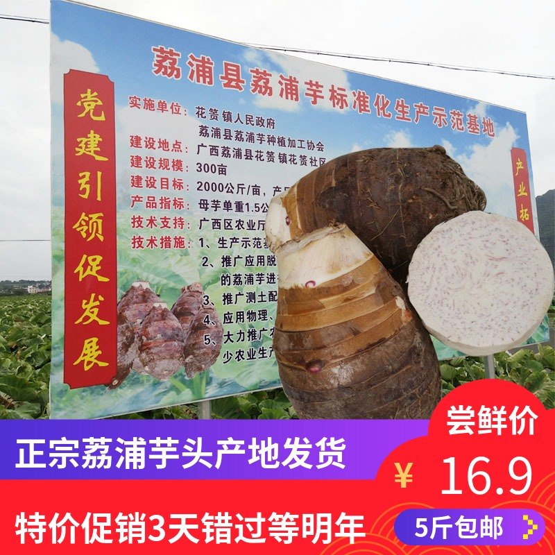 现挖现发原产地发货正宗广西荔浦芋头 新鲜槟榔芋紫藤香芋5斤免邮在类目 水产肉类/新鲜蔬果/熟食, 新鲜蔬菜/蔬菜制品, 新鲜蔬菜, 其它中 - 来自Buy2taobao.com提供专业的淘宝代购服务
