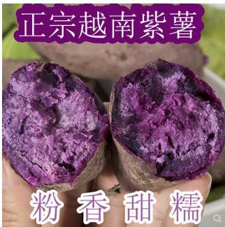 越南紫薯 新鲜地瓜农家番薯新鲜紫宝宝辅食5斤包邮|msdalam kategori daging perikanan/Buah-buahan segar dan sayur-sayuran/dimasak, sayur-sayuran segar/Vegetable Products, sayur-sayuran segar, ubi keledek - dari Buy2taobao.com untuk memberikan perkhidmatan ejen Taobao profesional membeli