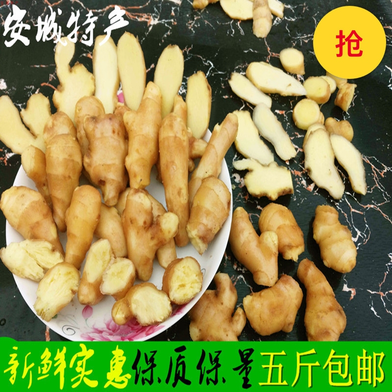 Shandong Huang Shandong ginger tender ginger Turmeric fresh Small Jsens Ginger Air-dried ginger ediblein the Aquatic meat/Fresh fruits and vegetables/Cooked , Fresh vegetables/Vegetable products , Ginger category - from Buy2taobao.com to provide professional Taobao agent buy service