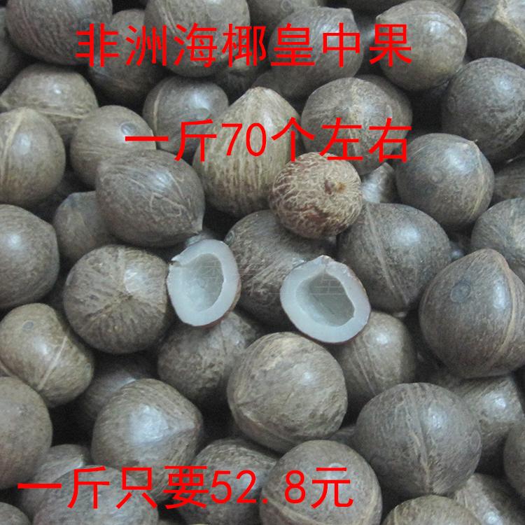 新货非洲 进口海椰皇 海椰子皇海椰王复中果500克包邮坏果包赔在类目 粮油米面/南北干货/调味品, 南北干货/肉类干货, 干货/土特产, 其它中 - 来自Buy2taobao.com提供专业的淘宝代购服务