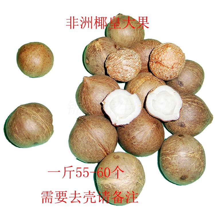 新货非洲 进口海椰皇 海椰子皇海椰王复大果500克包邮坏果包赔在类目 粮油米面/南北干货/调味品, 南北干货/肉类干货, 干货/土特产, 其它中 - 来自Buy2taobao.com提供专业的淘宝代购服务