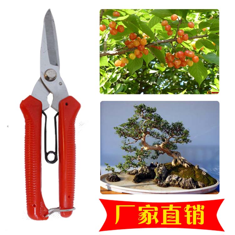 Pruning, picking and pruning Pruning Spring Pruning Fruits and vegetables household bonsai Vegetables multi-function scissorsin the Home Daily , Home Hardware Tools , Scissors/Hairdressing scissors/Gardening shears , Gardening scissors category - from Buy2taobao.com to provide professional Taobao agent buy service