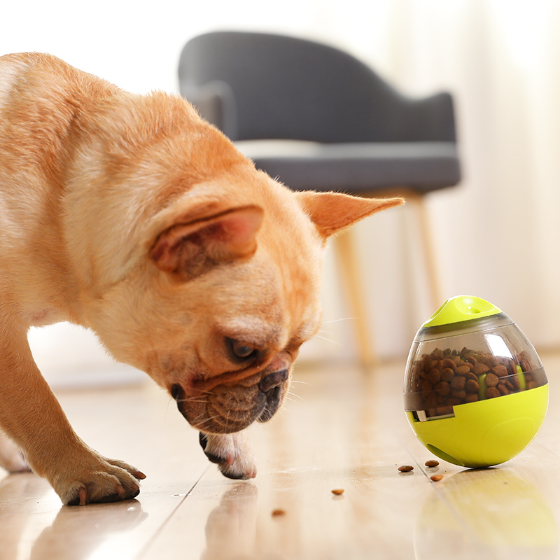 宠物狗狗漏食球不倒翁大型犬耐咬调节狗粮喂食器泰迪解闷益智玩具在类目 宠物/宠物食品及用品, 猫/狗玩具, 漏食球中 - 来自Buy2taobao.com提供专业的淘宝代购服务
