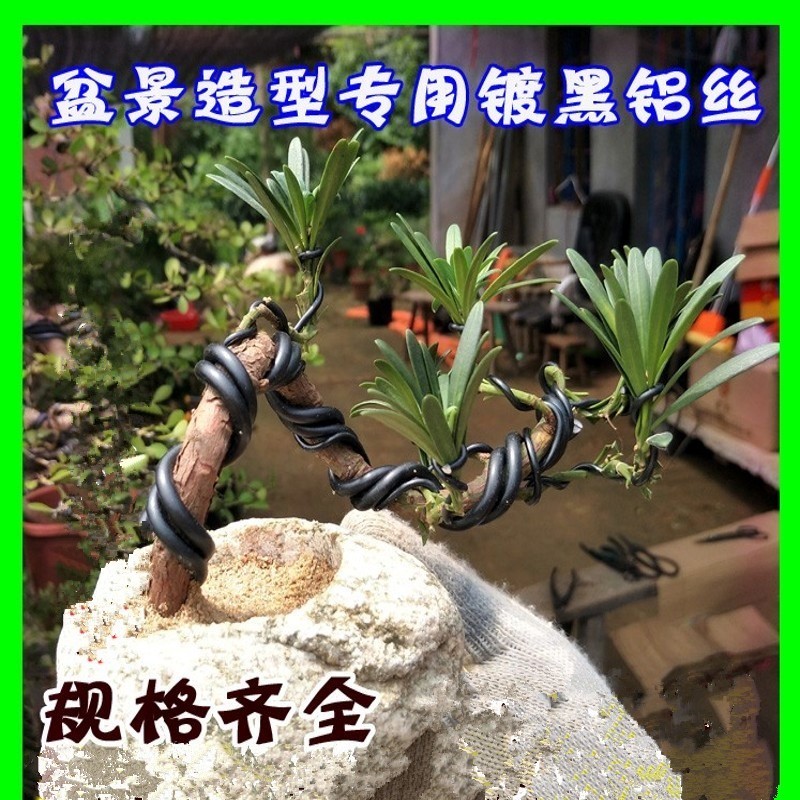 纯氧化盘扎盆景盘扎造型扎丝捆绑扎丝盆景造型铝丝捆扎线园艺盆熟在类目 鲜花速递/花卉仿真/绿植园艺, 园艺用品, 其它园艺用品中 - 来自Buy2taobao.com提供专业的淘宝代购服务