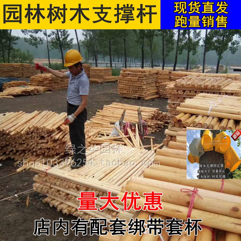 树木移植支撑架 稳定支撑器 园林行道树支撑木杆棍棒 防风支树架在类目 鲜花速递/花卉仿真/绿植园艺, 园艺用品, 其它园艺用品中 - 来自Buy2taobao.com提供专业的淘宝代购服务