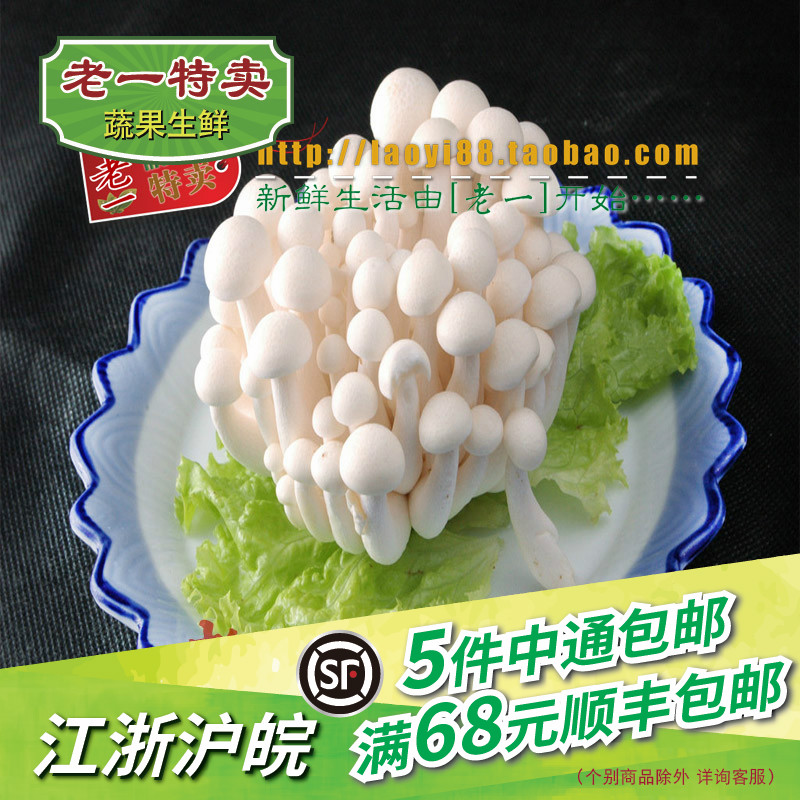 老一特卖 新鲜白玉菇150g/盒,绿色新鲜菌菇在类目 粮油米面/南北干货/调味品, 南北干货/肉类干货, 干货/土特产, 香菇类中 - 来自Buy2taobao.com提供专业的淘宝代购服务