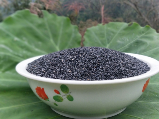 贵州芝麻生黑芝麻年新货榨油芝麻农家自种芝麻自产半斤真空包装|msdalam kategori beras/Utara-Selatan barangan kering/perasa, meter/tepung/bijirin, makanan lain - dari Buy2taobao.com untuk memberikan perkhidmatan ejen Taobao profesional membeli