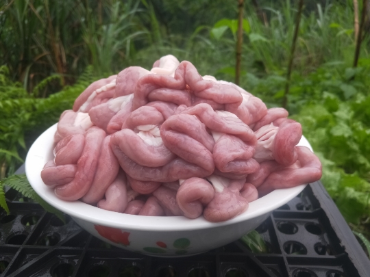 貴州錦屏生粉腸本地豬粉腸 豬小腸 豬順腸 新鮮腎腸生豬現殺腎腸在類目 水產肉類/新鮮蔬果/熟食, 生肉/肉製品, 豬肉類, 其它中 - 來自Buy2taobao.com提供專業的淘寶代購服務