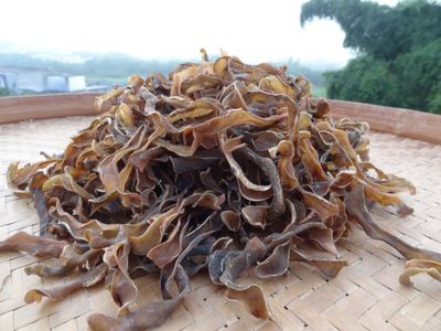 农家自晒干狗爪豆狗仔豆干狗儿豆干500克猫爪豆干老鼠豆满2斤包邮在类目 粮油米面/南北干货/调味品, 米/面粉/杂粮, 豆类, 其它中 - 来自Buy2taobao.com提供专业的淘宝代购服务