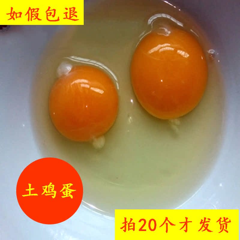 Mountains Orthodox school Farm free range eggs Green shell egg Grain Coarse Cereals Feeding Grass eggs pregnant woman Nutritious mealsin the Aquatic meat/Fresh fruits and vegetables/Cooked , Egg/Egg Products , Fresh eggs , Eggs category - from Buy2taobao.com to provide professional Taobao agent buy service