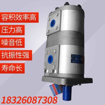 长源CBNL-F532/F510-BFHL双联液压齿轮油泵 环卫车配件安徽|ruв категории оборудование/инструменты, гидравлический/подъемный механизм, гидравлический инструмент, гидравлическая машина/гидравлический машина - от Buy2taobao.com для оказания профессиональной услуги покупки агента Taobao