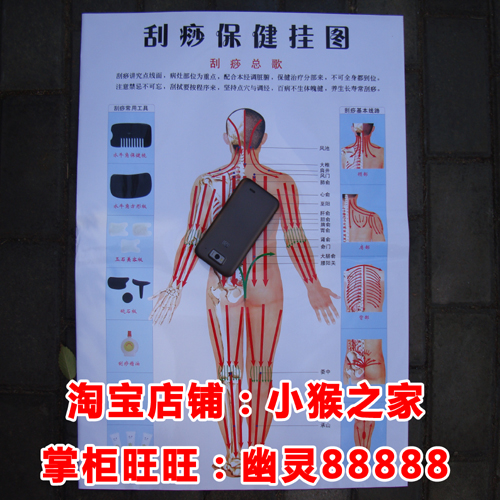 全息经络刮痧挂图(背面)刮痧保健挂图穴位按摩图|msdalam kategori Penjagaan diri/kesihatan/peralatan urut, Equipment Meridian Penjagaan Kesihatan, filem pelupusan/Lembaga - dari Buy2taobao.com untuk memberikan perkhidmatan ejen Taobao profesional membeli