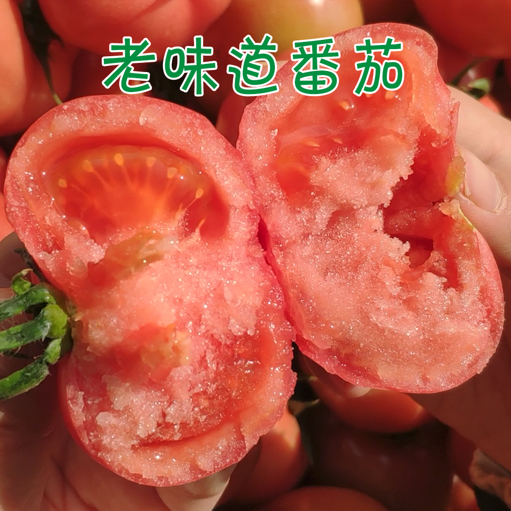 老味道西红柿农家自然熟黄金酸甜比戴安娜乐佳生鲜薄皮酸甜5斤装在类目 水产肉类/新鲜蔬果/熟食, 新鲜蔬菜/蔬菜制品, 新鲜蔬菜, 番茄中 - 来自Buy2taobao.com提供专业的淘宝代购服务
