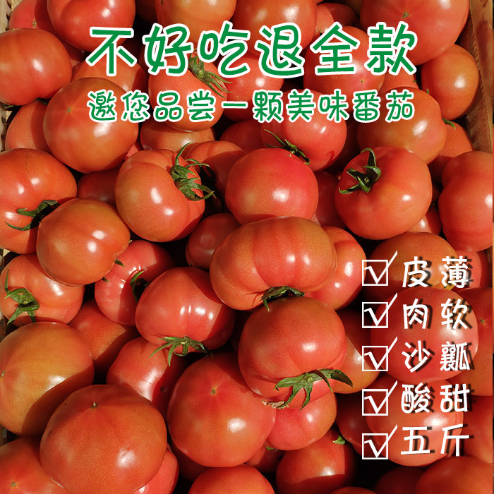 普罗旺斯西红柿海阳自然熟粉番茄沙瓤新鲜天然农家孕妇有机5斤在类目 水产肉类/新鲜蔬果/熟食, 新鲜蔬菜/蔬菜制品, 新鲜蔬菜, 番茄中 - 来自Buy2taobao.com提供专业的淘宝代购服务