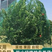 花架铁线莲铁线攀爬爬藤架户外室内阳台支撑园艺造型伸缩花盆支架