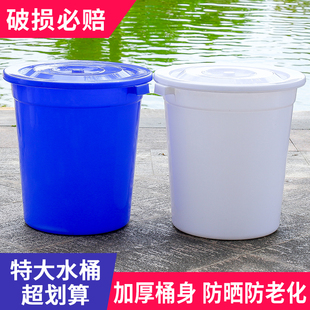 塑料桶加厚水桶食品级家用储水桶大白桶大号特大容量圆形发酵大桶