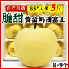 奶油富士苹果 脆甜 山东烟台栖霞黄金红富士 新鲜苹果水果5斤