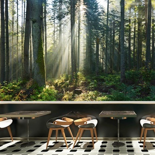 大自然风景壁纸树林森林直播背景布装饰(布装饰)餐厅墙布客厅绿色植物墙纸