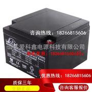 理士蓄电池lp12-2412v24ahups不间断电源免维护铅酸电池