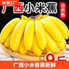 广西小米蕉当季新鲜水果9斤整箱自然熟banana苹果5粉香蕉自提