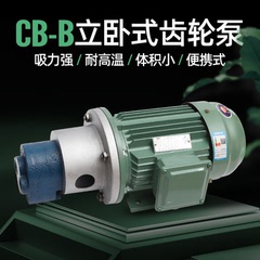高温电动齿轮油泵CB-B