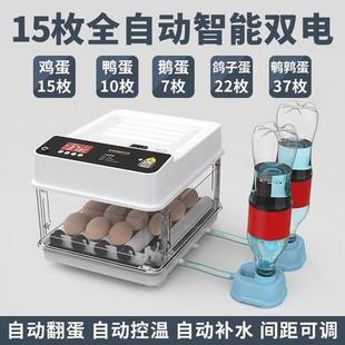 厂促新柯尔鸭孵化器小型家用孵化机，全自动智能，孵蛋器小鸡鸭鹅水品