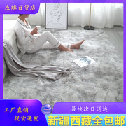 新疆西藏加厚长毛地毯卧室少女耐脏床边毯客厅茶几飘窗大面积