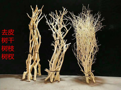 干树枝插花原木杈艺术干支枯枝枯木去皮树杆造型壁挂衣架树干装饰