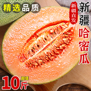 新疆哈密瓜新鲜水果10斤装当季脆甜蜜瓜网纹，瓜冰淇淋香瓜整箱