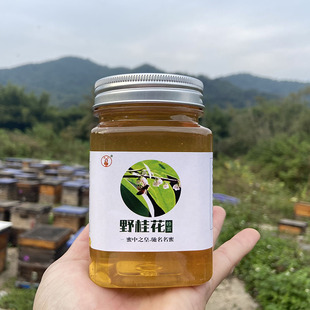 蕊辰农家自产自销纯正天然野桂花蜂蜜冬蜜无添加结晶蜂蜜