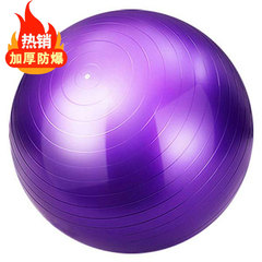 瑜伽球健身球加厚防爆瘦身儿童感统训练孕妇助产专用球大小号