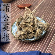 野生蒲公英根500克 干货茶婆婆丁 公英根整条无切中药材 2件