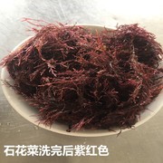 青岛特产海冻菜海藻石花菜海凉粉，海石花干货石花膏